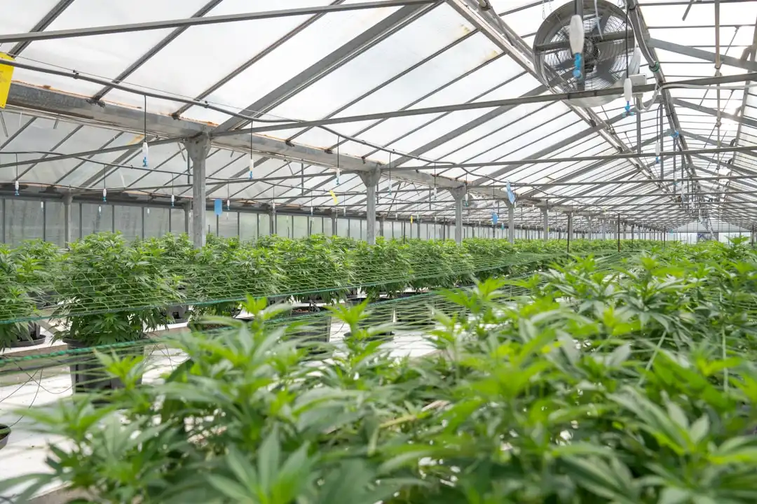 临沂诺达电子商务：置物架与衣帽架在中小户型收纳中的布局方案解析