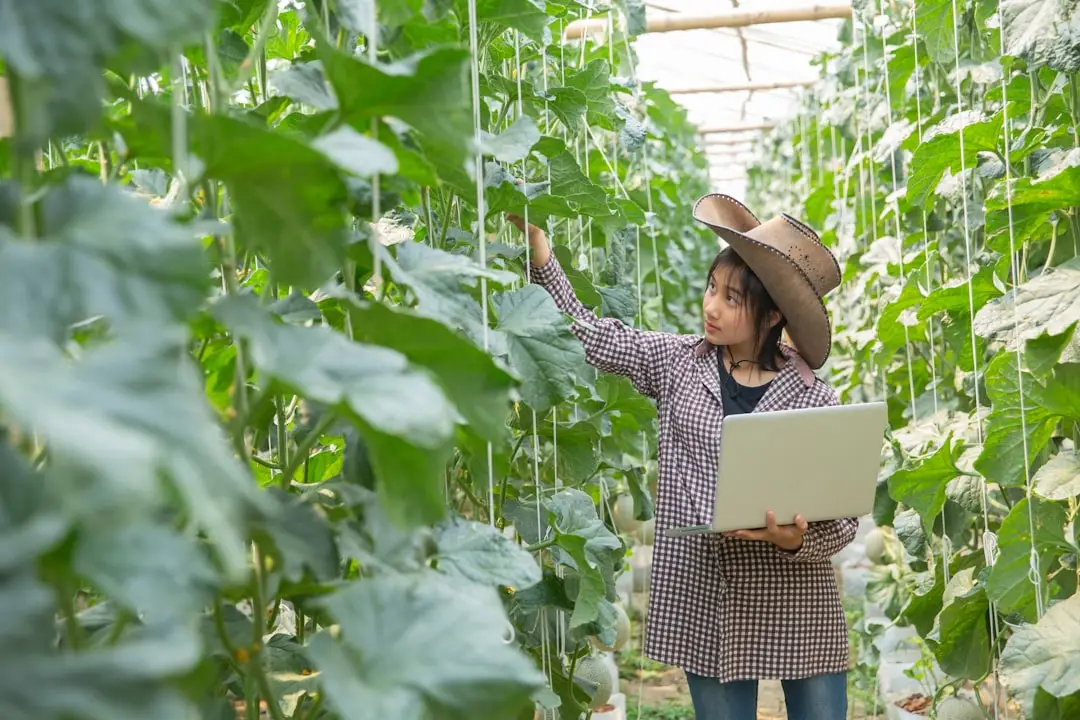 临沂诺达整理箱与置物架产品参数对比分析