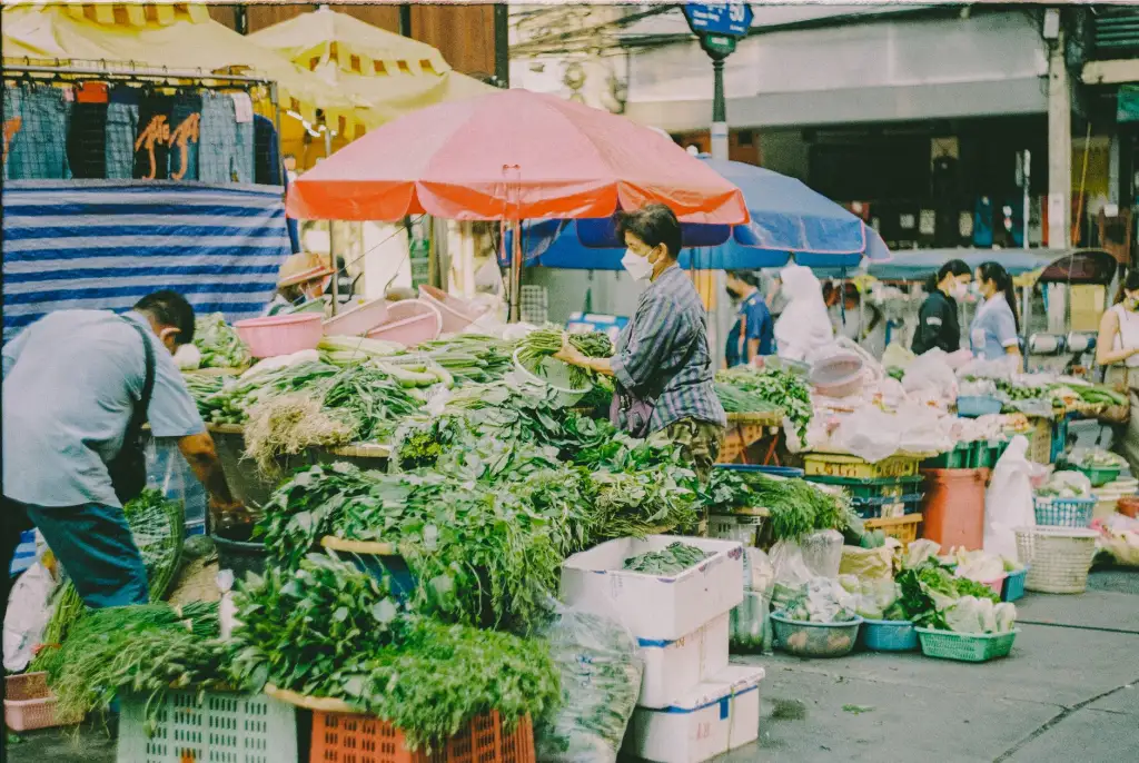 塑料整理箱生产工艺优化与质量控制关键节点探讨